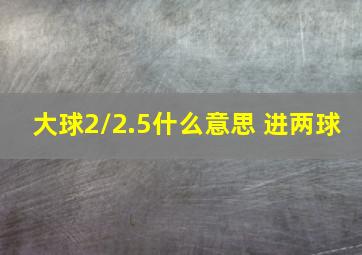 大球2/2.5什么意思 进两球